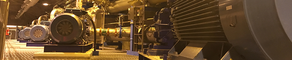 Motor-Management-WP-LP.jpg