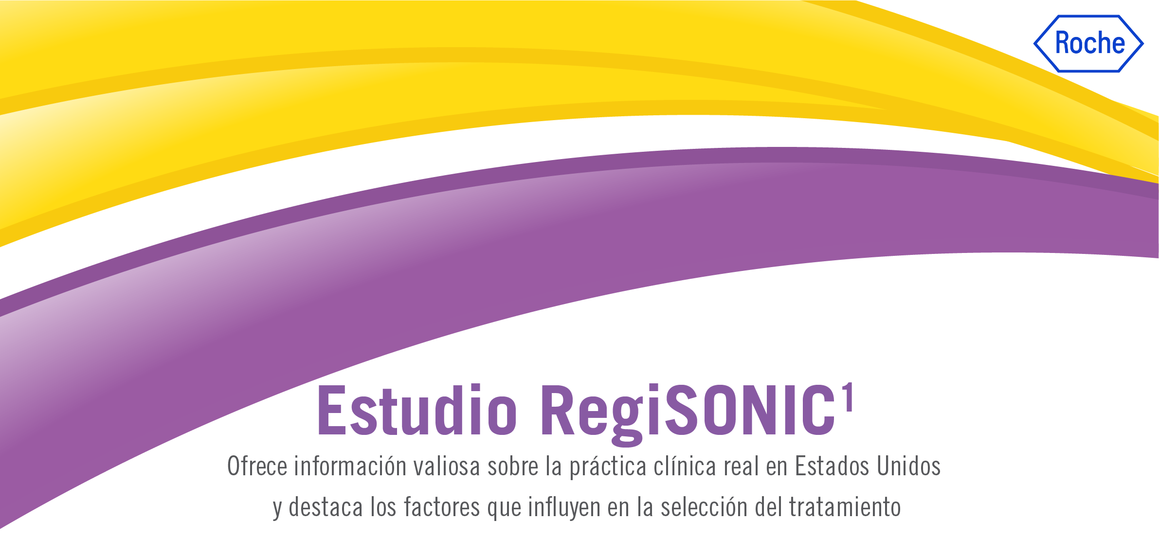 Regisonic Banner